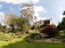Rosie's garden