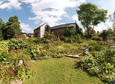 Rosie's garden