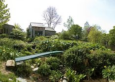 Rosie's garden