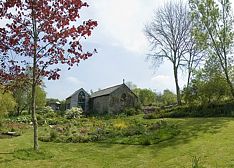 Rosie's garden