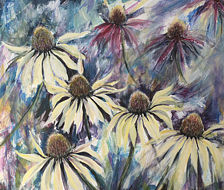 Echinacea flowers