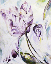 Parrot Tulips